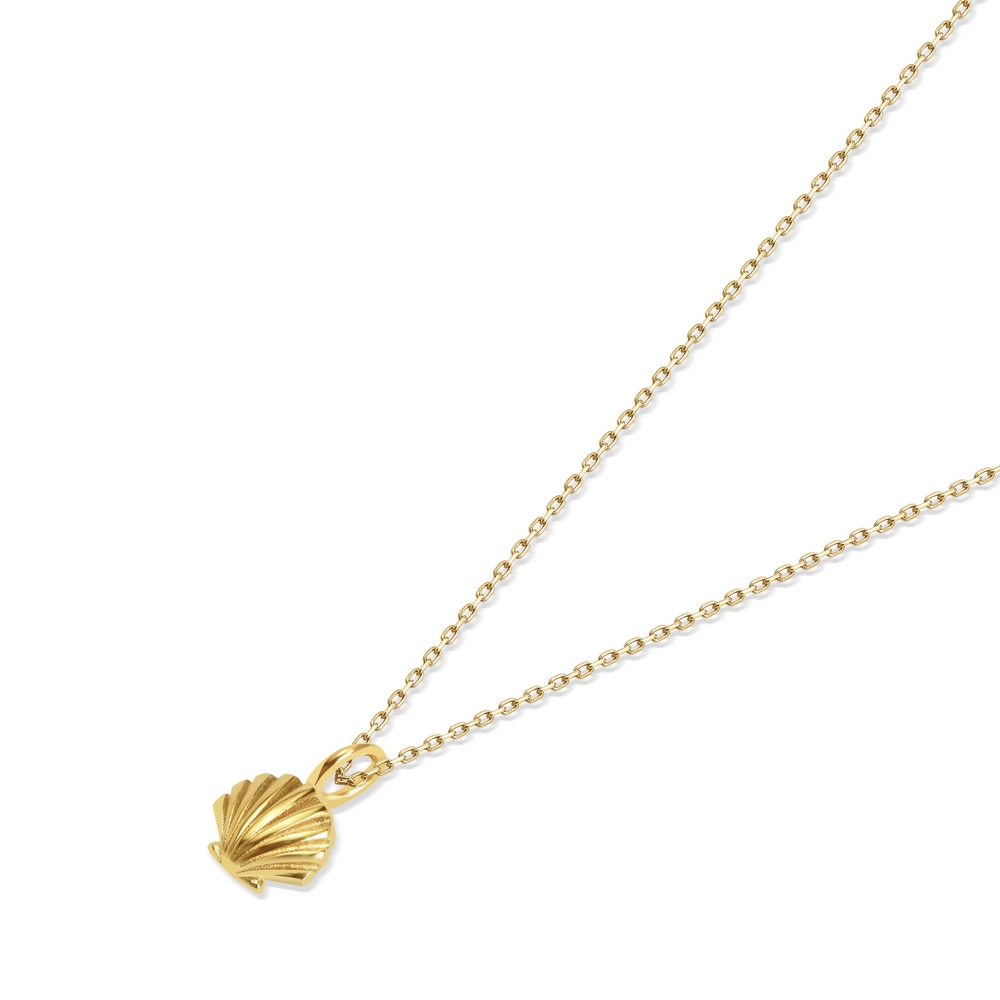 14 Ayar Sarı Altın Deniz Kabuğu Minimal Kolye