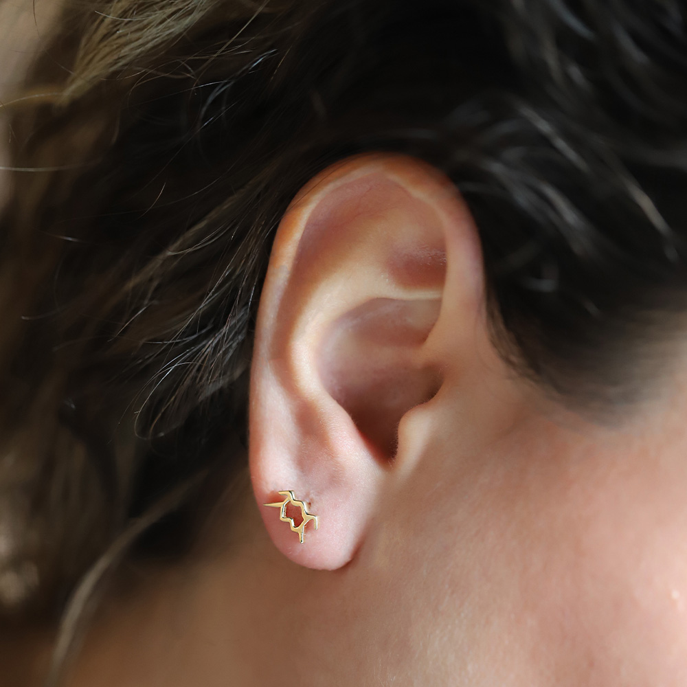 14 Ayar Sarı Altın Kova Burç Küpe