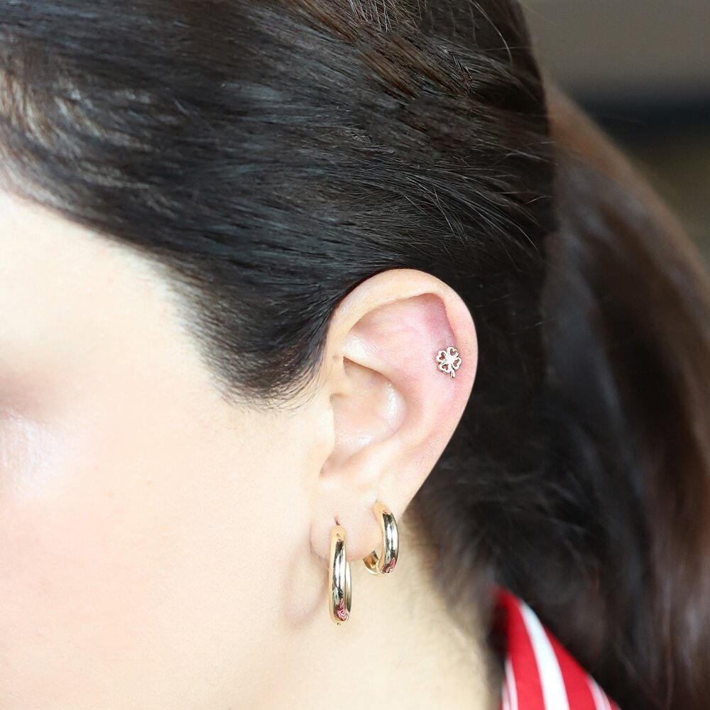 14 Ayar Sarı Altın Yonca Tragus Piercing