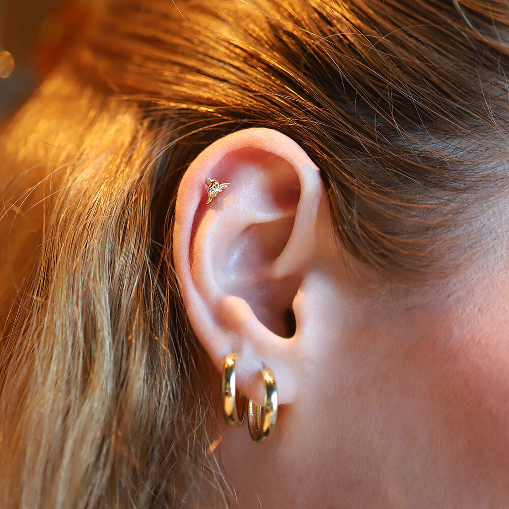 14 Ayar Sarı Altın Kuş Tragus Piercing