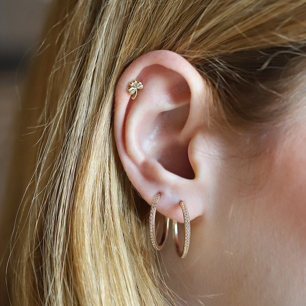14 Ayar Sarı Altın Yonca Targus Piercing