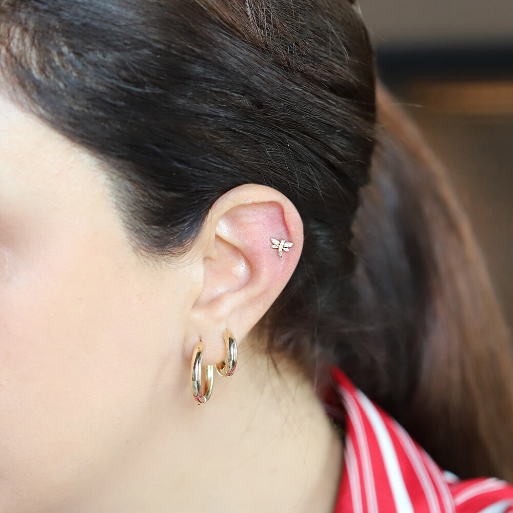 14 Ayar Sarı Altın Yusufcuk Tragus Piercing