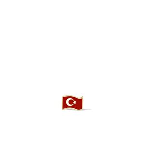 14 Ayar Sarı Altın Bayrak Figürlü Broş