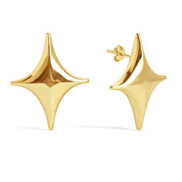 14 Ayar Sarı Altın Kutup Yıldızı Küpe