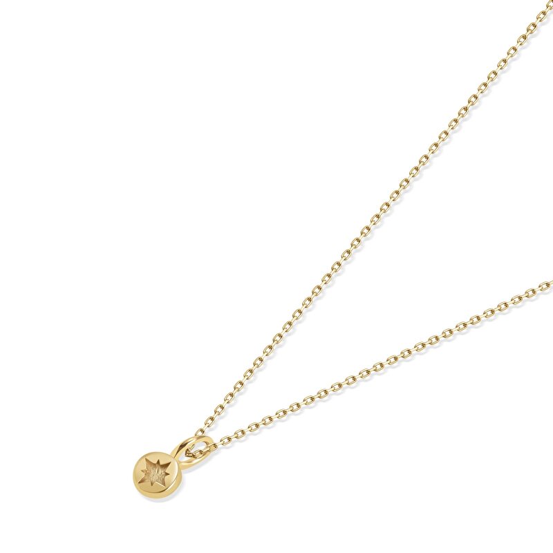14 Ayar Sarı Altın Kutup Yıldızı Minimal Kolye