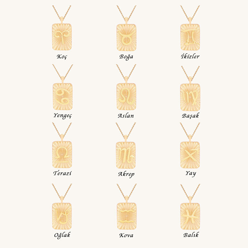 14 Ayar İkizler Burç Plaka Kolye